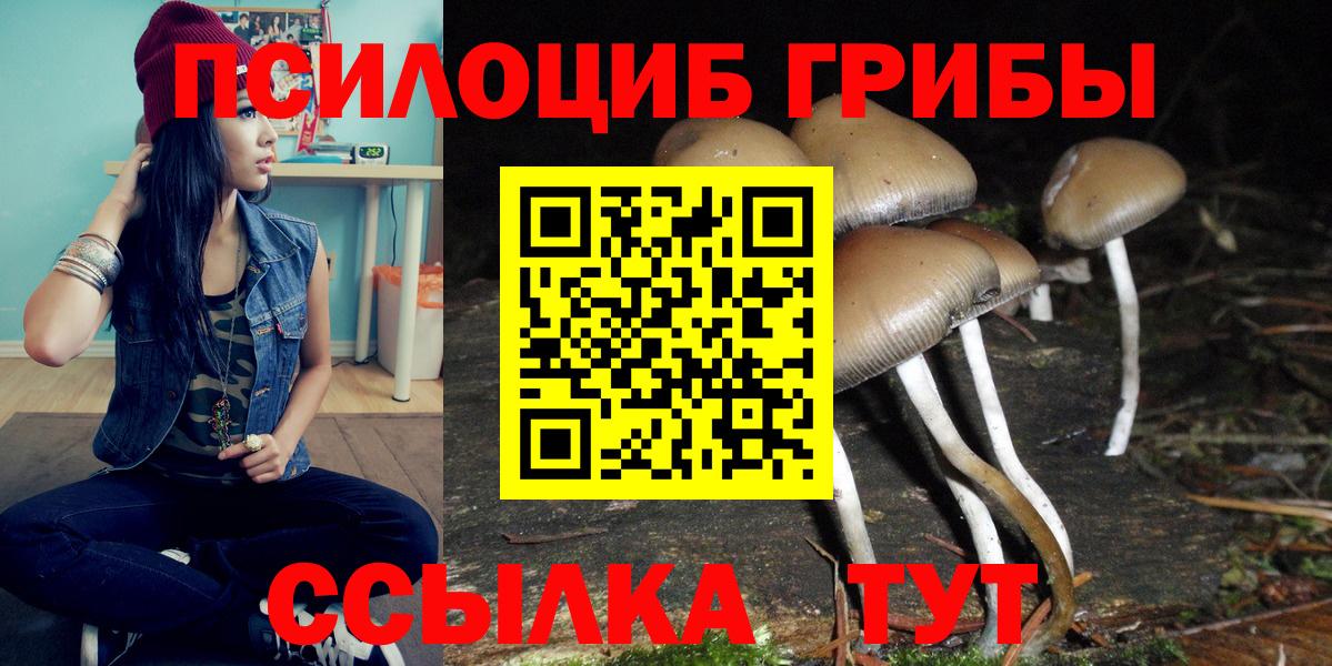 Псилоцибиновые грибы GOLDEN TEACHER Пенза